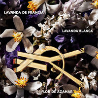 LIBRE L'ABSOLU PLATINE  90ml-213609 LIBRE L'ABSOLU PLATINE  90ml-213609 2